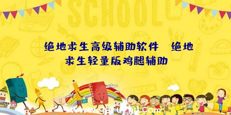 「绝地求生高级辅助软件」|绝地求生轻量版鸡腿辅助